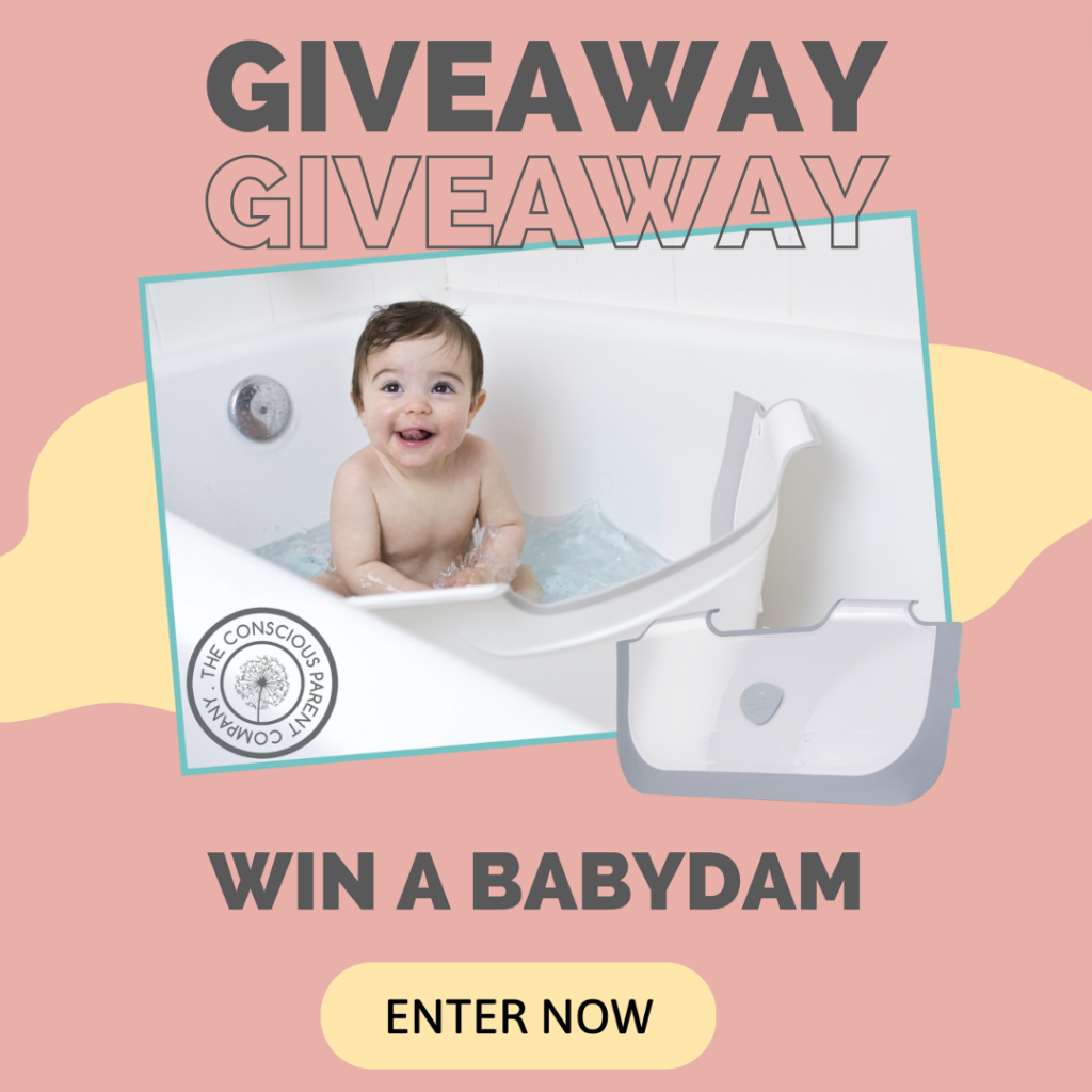 Initial BabyDam competition image 1