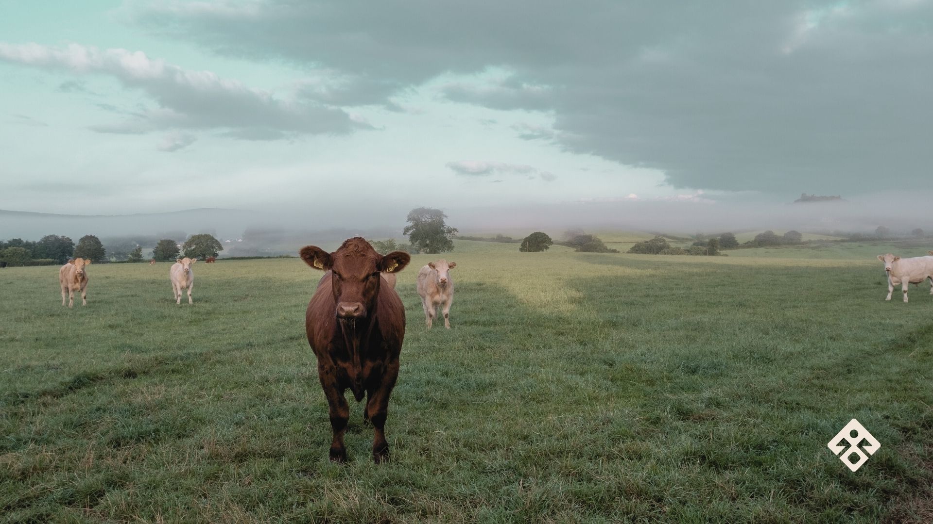 The Importance of British Farming