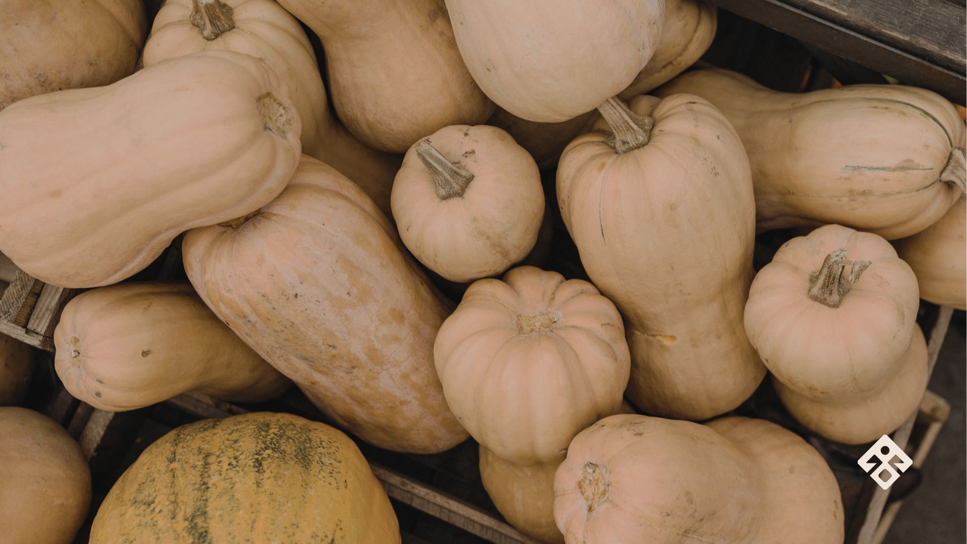 family soup recipe